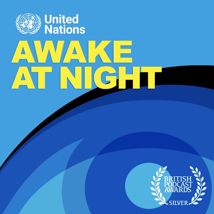 Awake at Night - United Nations Series