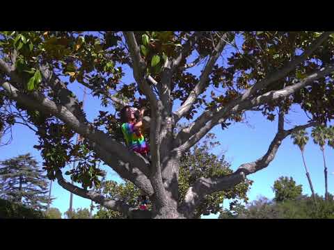 Dylan Brady - Peace & Love - YouTube