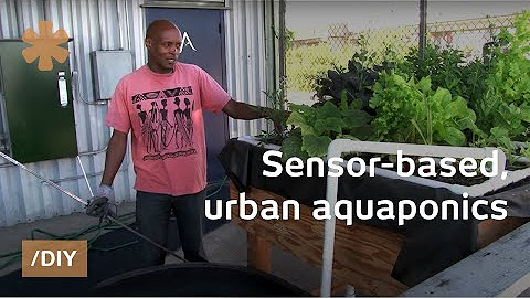 Aquaponics, hydroponics, aeroponics
