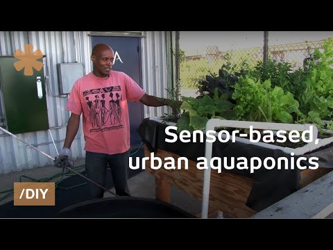 Aquaponics, hydroponics, aeroponics - YouTube