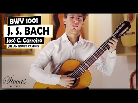 José Carlos Carreiro - YouTube