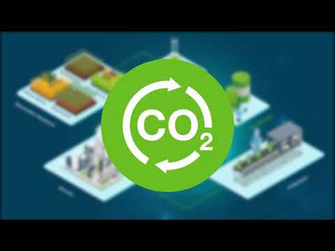 BASF Process Catalysts - YouTube