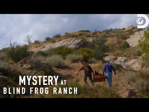 Recent Uploads - YouTube