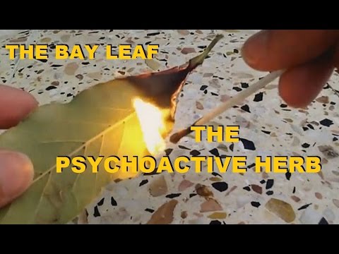 Natural Food Wonders - YouTube