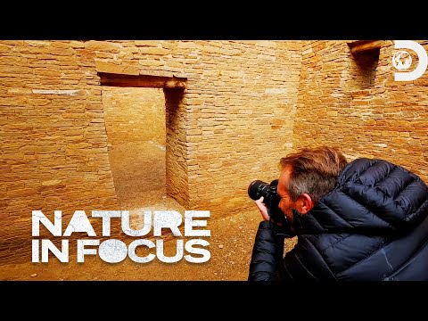 Nature in Focus - YouTube