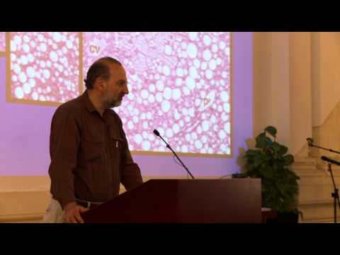Melbourne 2012 Low Carb Down Under Seminar - YouTube