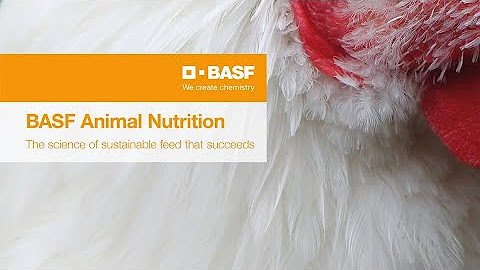 Animal Nutrition Image Film