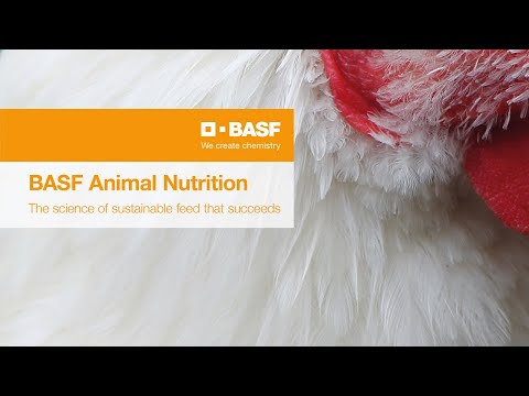 Animal Nutrition Image Film - YouTube