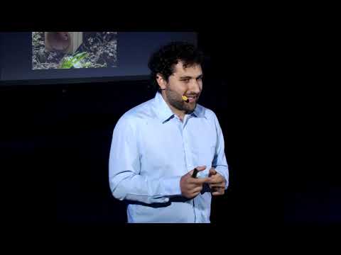 TEDxCataniaSalon - July 3, 2021 - YouTube