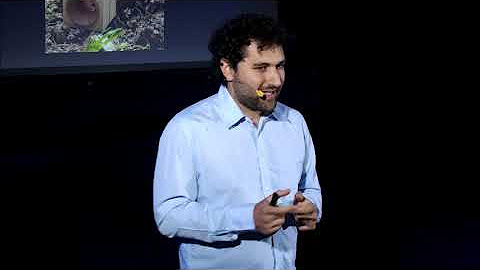TEDxCataniaSalon - July 3, 2021