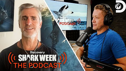 Shark Week: The Podcast