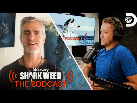 Shark Week: The Podcast - YouTube