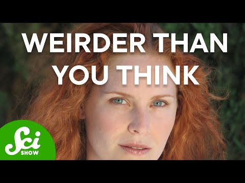 The Best of SciShow - YouTube