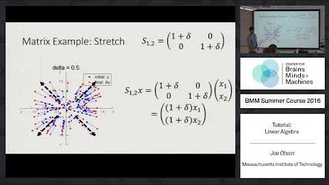 Brains, Minds & Machines Summer Course 2016