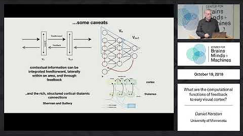 Brains, Minds and Machines Seminar Series