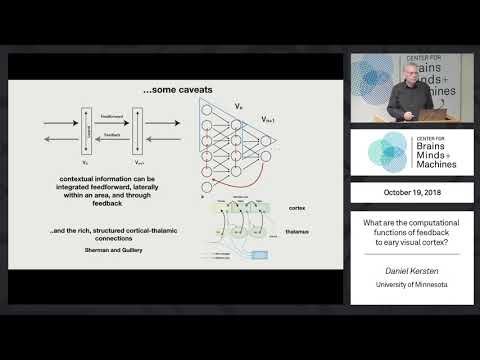 Brains, Minds and Machines Seminar Series - YouTube
