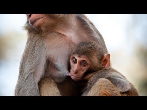 The Explainer - YouTube