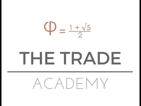 THE BEST MAN IN FOREX - YouTube