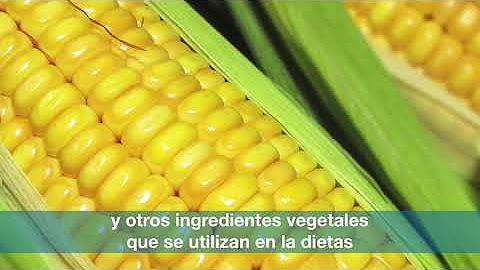 Ciencia a Nuestro Alrededor (ES)