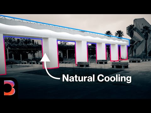 Environment - YouTube