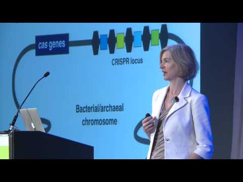Science Symposium Chicago - YouTube