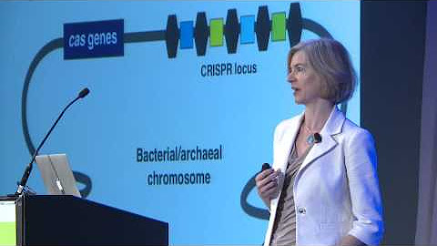 Science Symposium Chicago