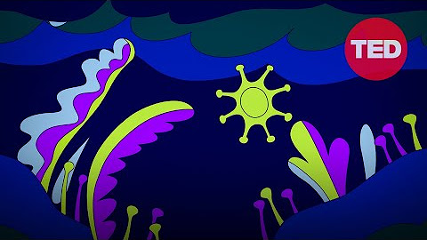 Sleeping with Science, a TED series