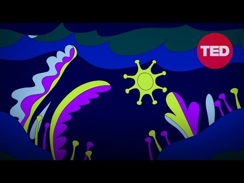 Sleeping with Science, a TED series - YouTube