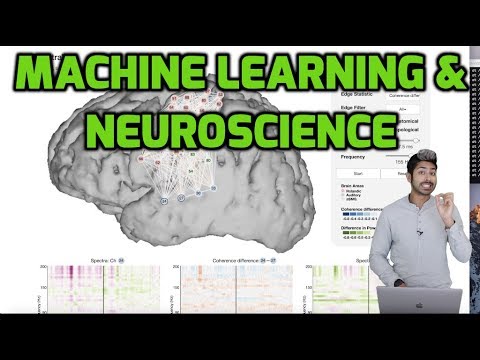 ML Neuroscience - YouTube
