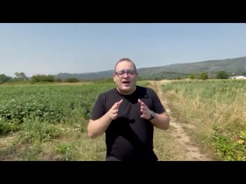 TEDxVilaNovadeGaia - July 24, 2021 - YouTube
