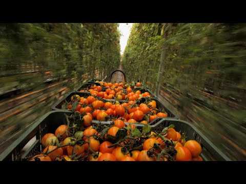 Oracle Sustainability Customer Success Stories - YouTube