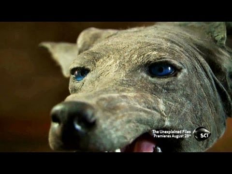 The Unexplained Files - YouTube