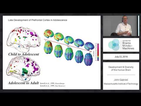 CBMM Summer Lecture Series 2016 - YouTube