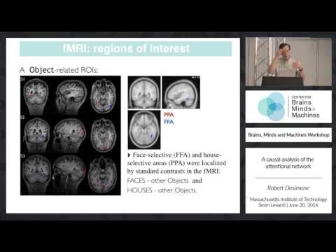 CBMM Workshop - Sestri Levanti - YouTube
