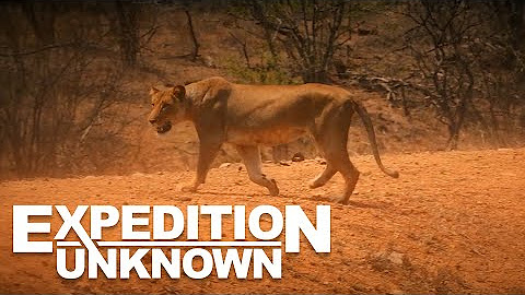 Expedition Unknown