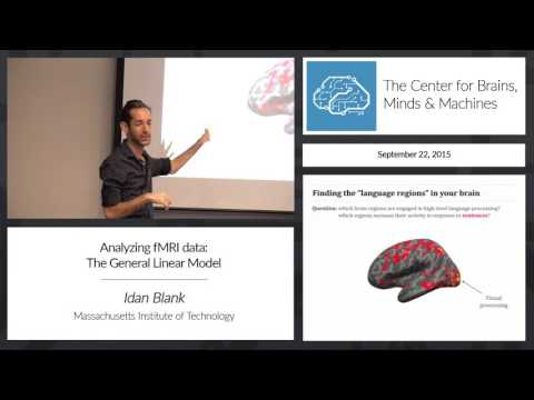 MIT Course 9.71 - Functional MRI of the Human Brain - YouTube