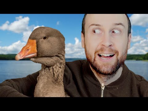 Untitled Goose Game - YouTube