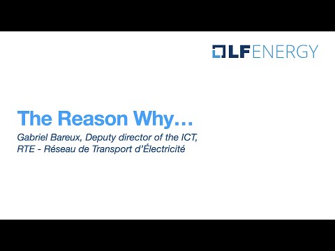 LF Energy Community Member Spotlights - YouTube