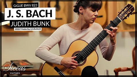 Judith Bunk Classical Guitarist