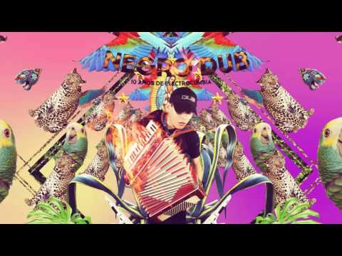 Negro Dub - 10 Years of Electrocumbia - YouTube