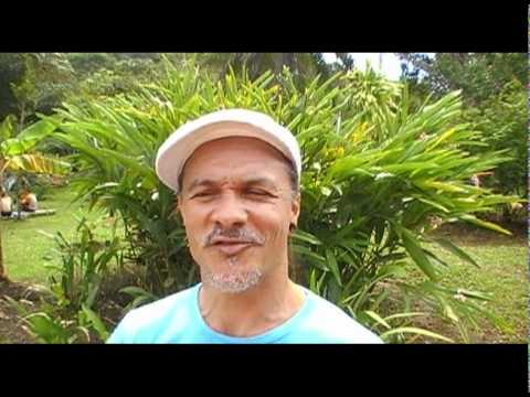 Eventos - YouTube