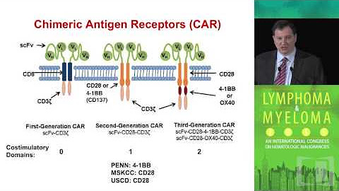 Car-t cell thetapy