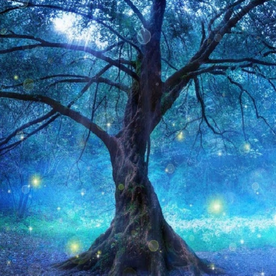 Fantasy & World Music by the Fiechters