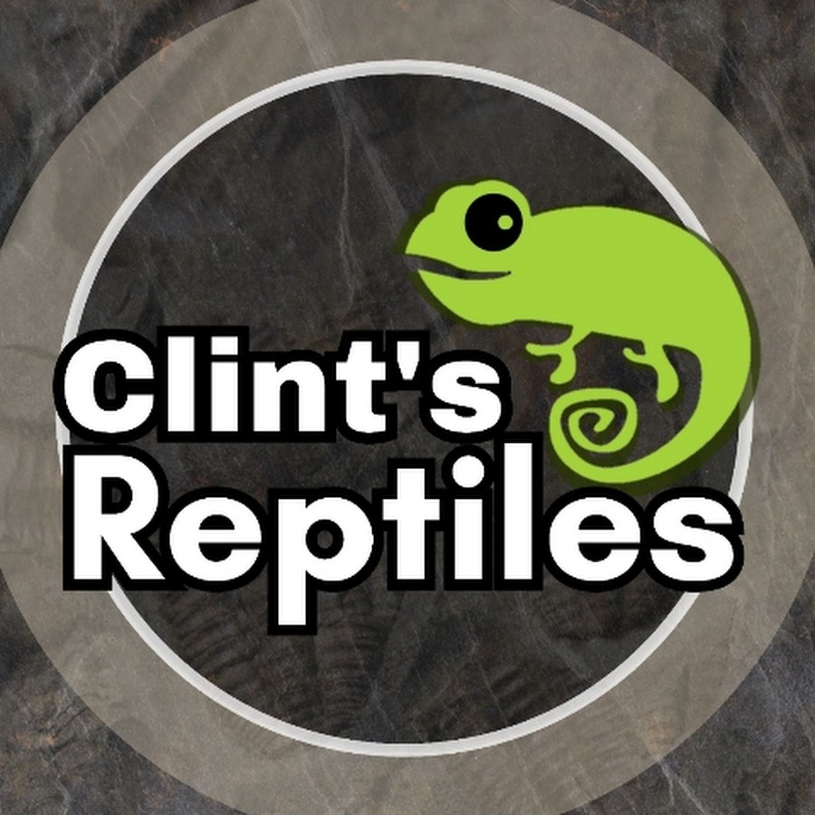 Clint's Reptiles