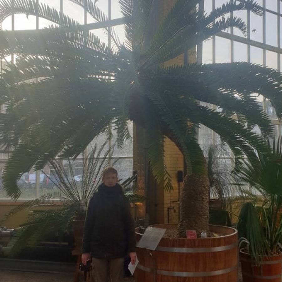 Vince.Plants