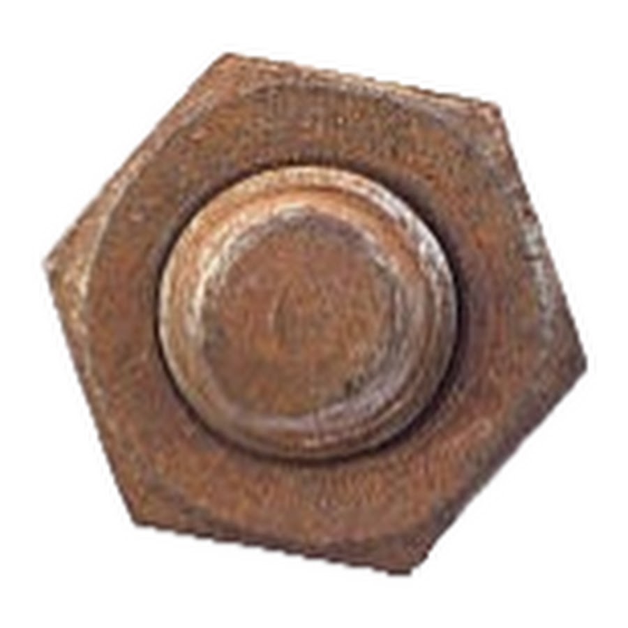 Rusted Bolt