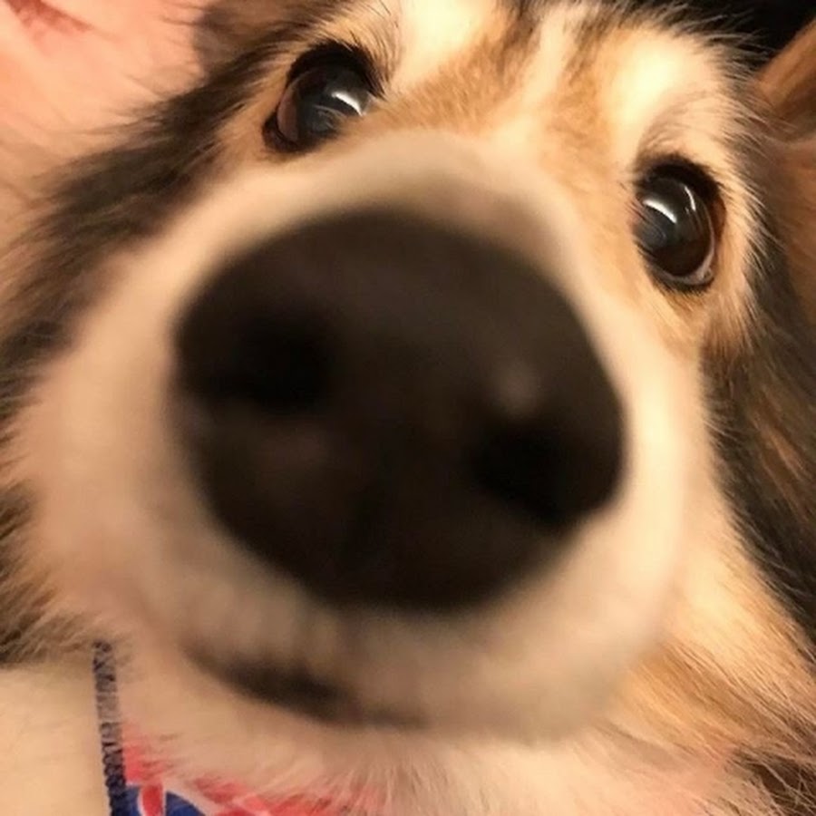 광댕이