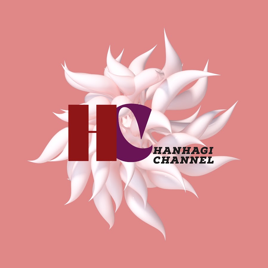 HanHaGi Channel
