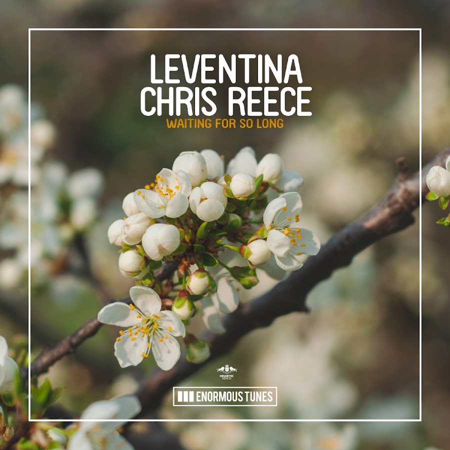 Leventina - Topic