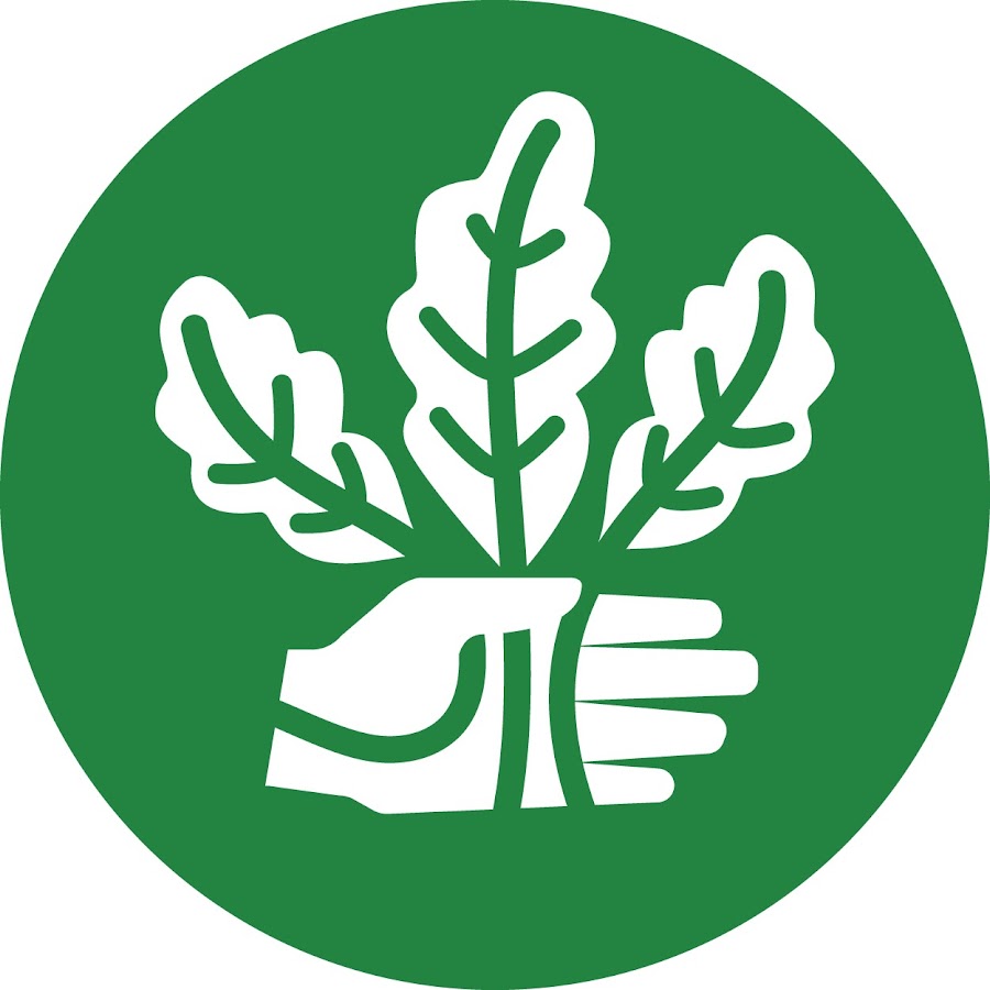Growing Healthy Food